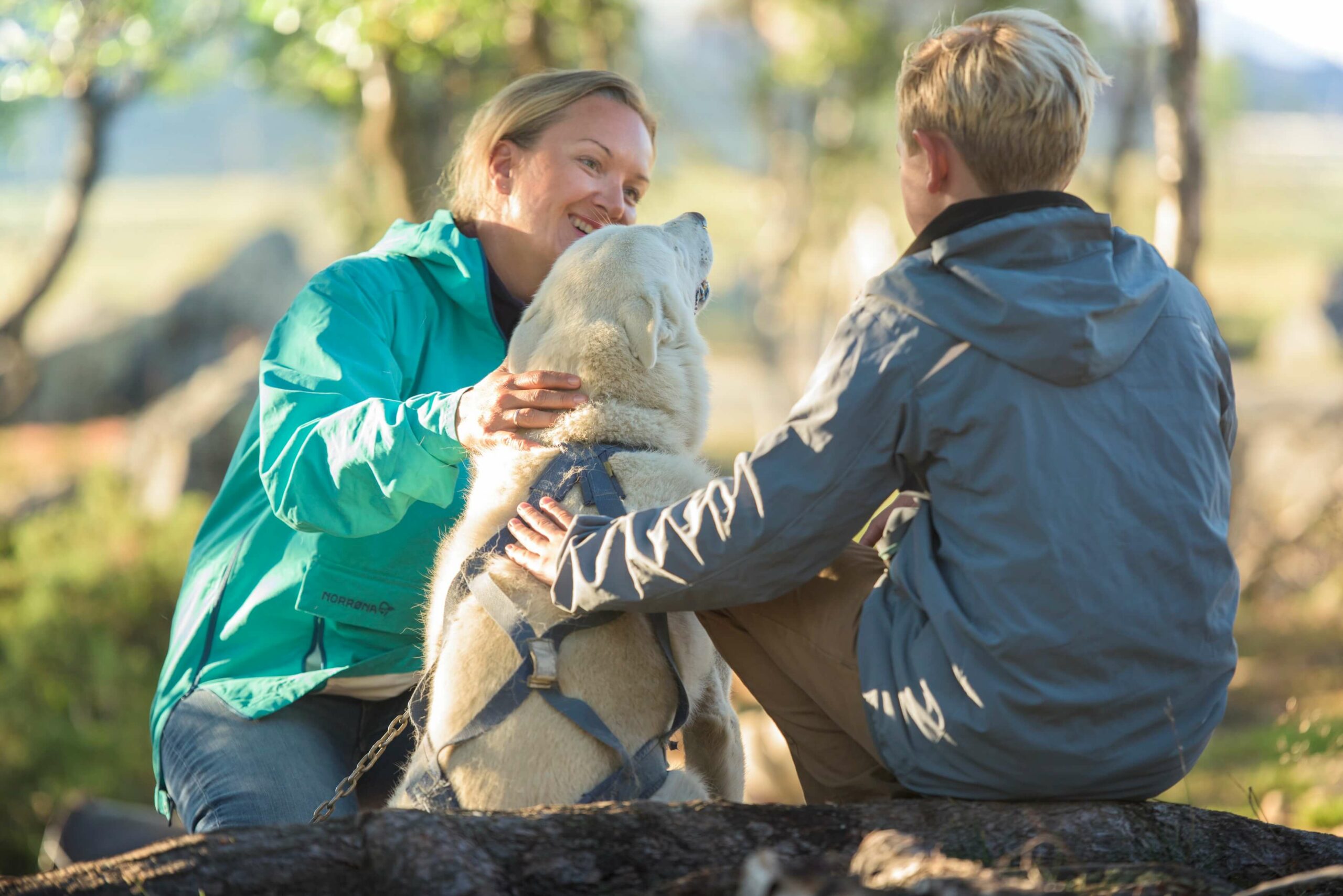 Huskycamp lær om huskyen