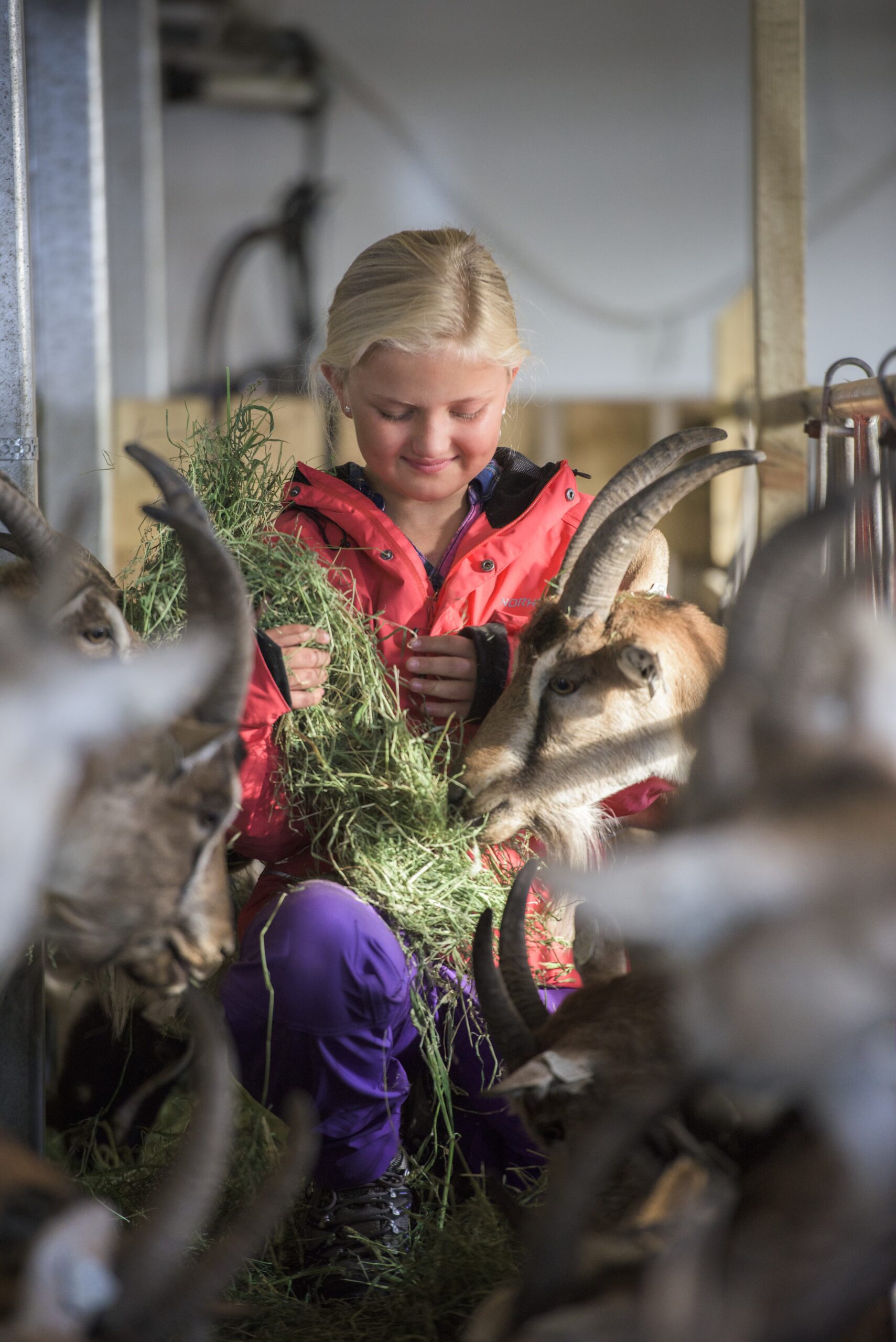 Mine ville venner på Langedrag