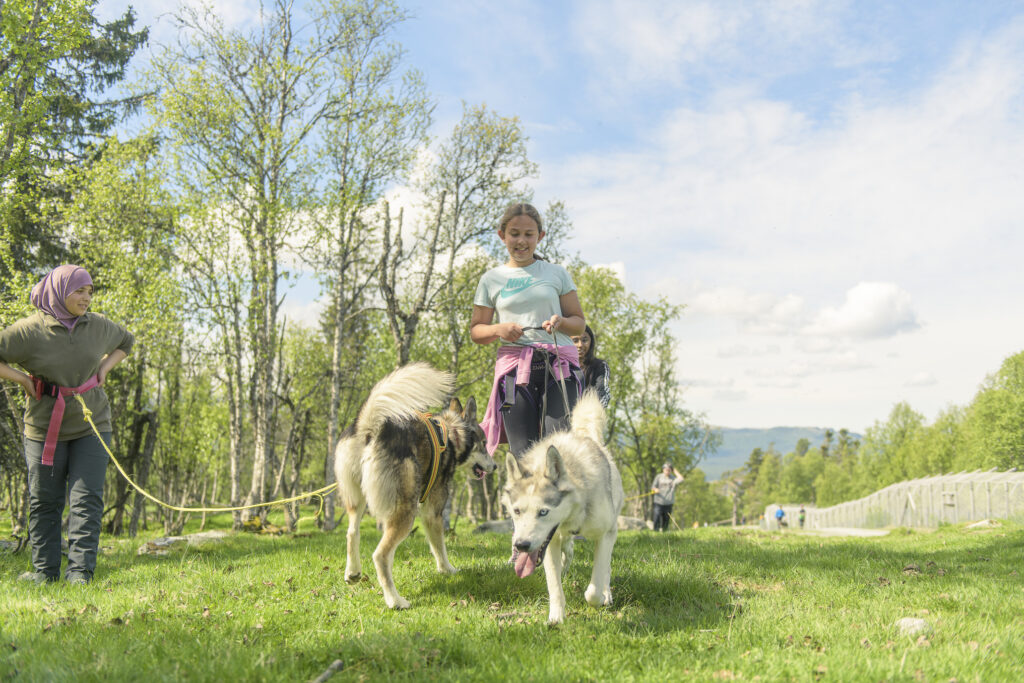 Hund og friluftslivleir i uke 26