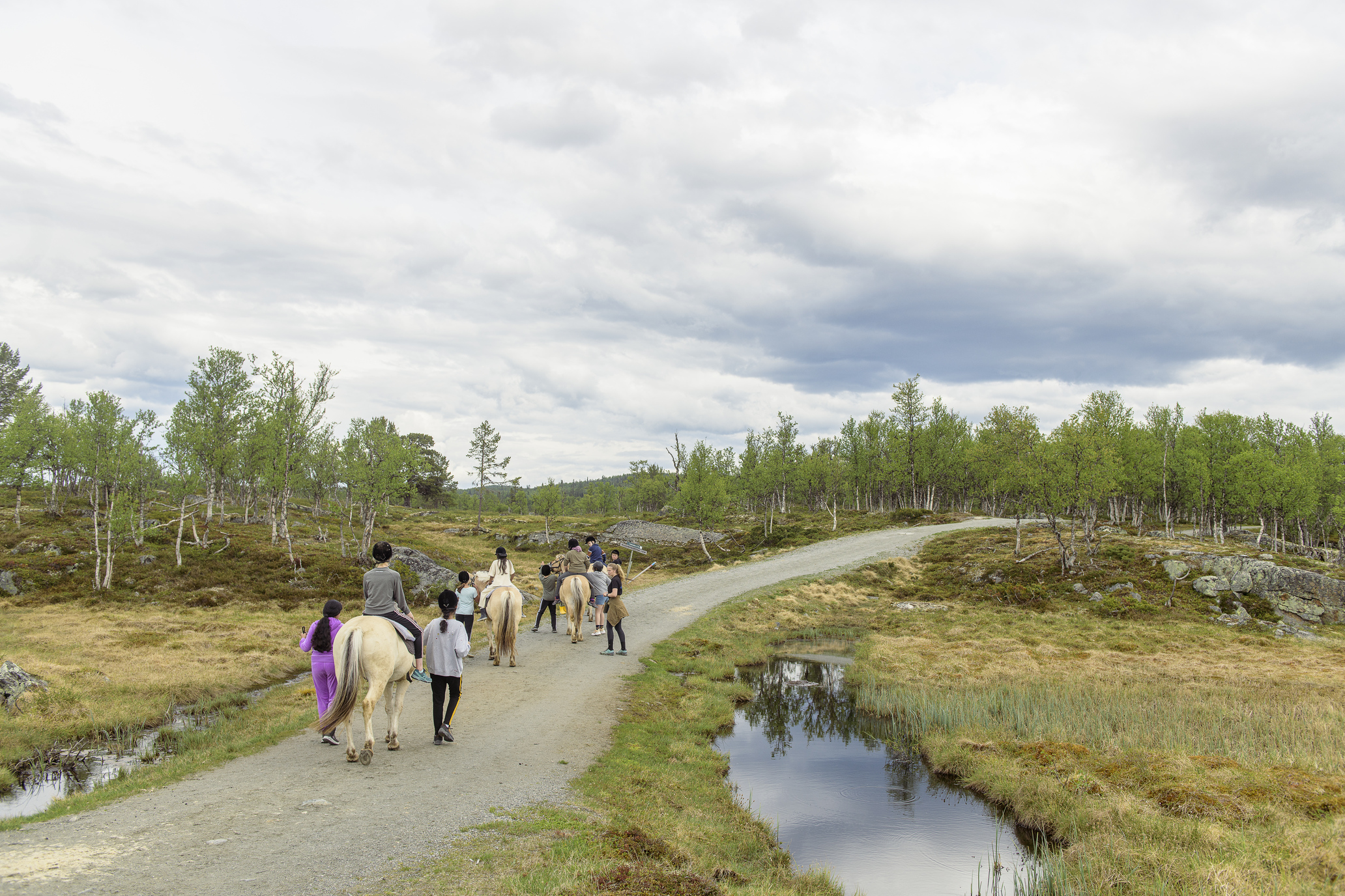 Ta deg en gåtur rundt om Langedrag