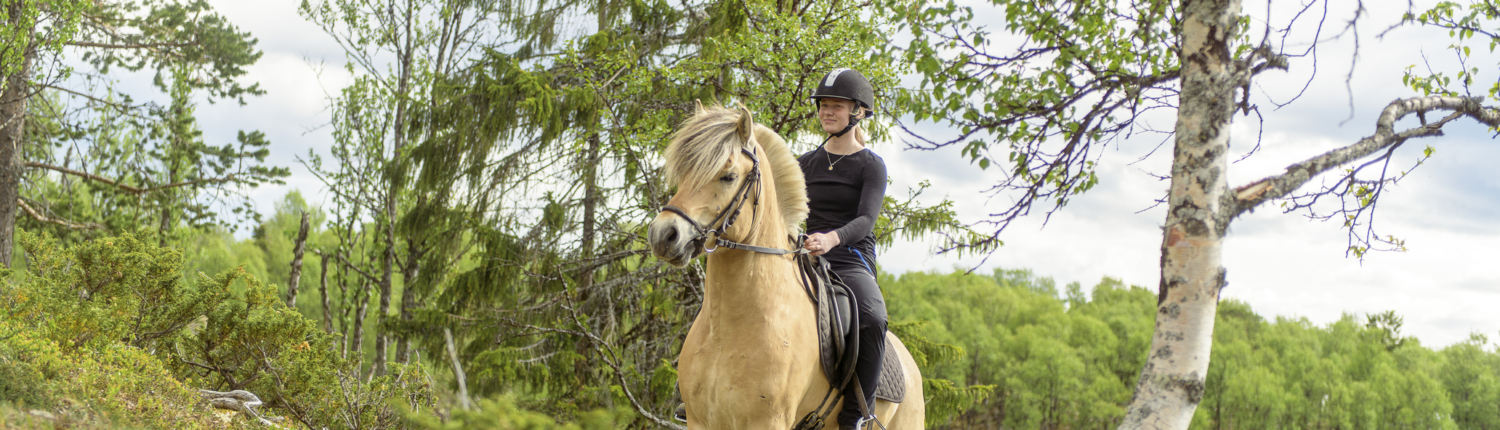 Ridning på Langedrag