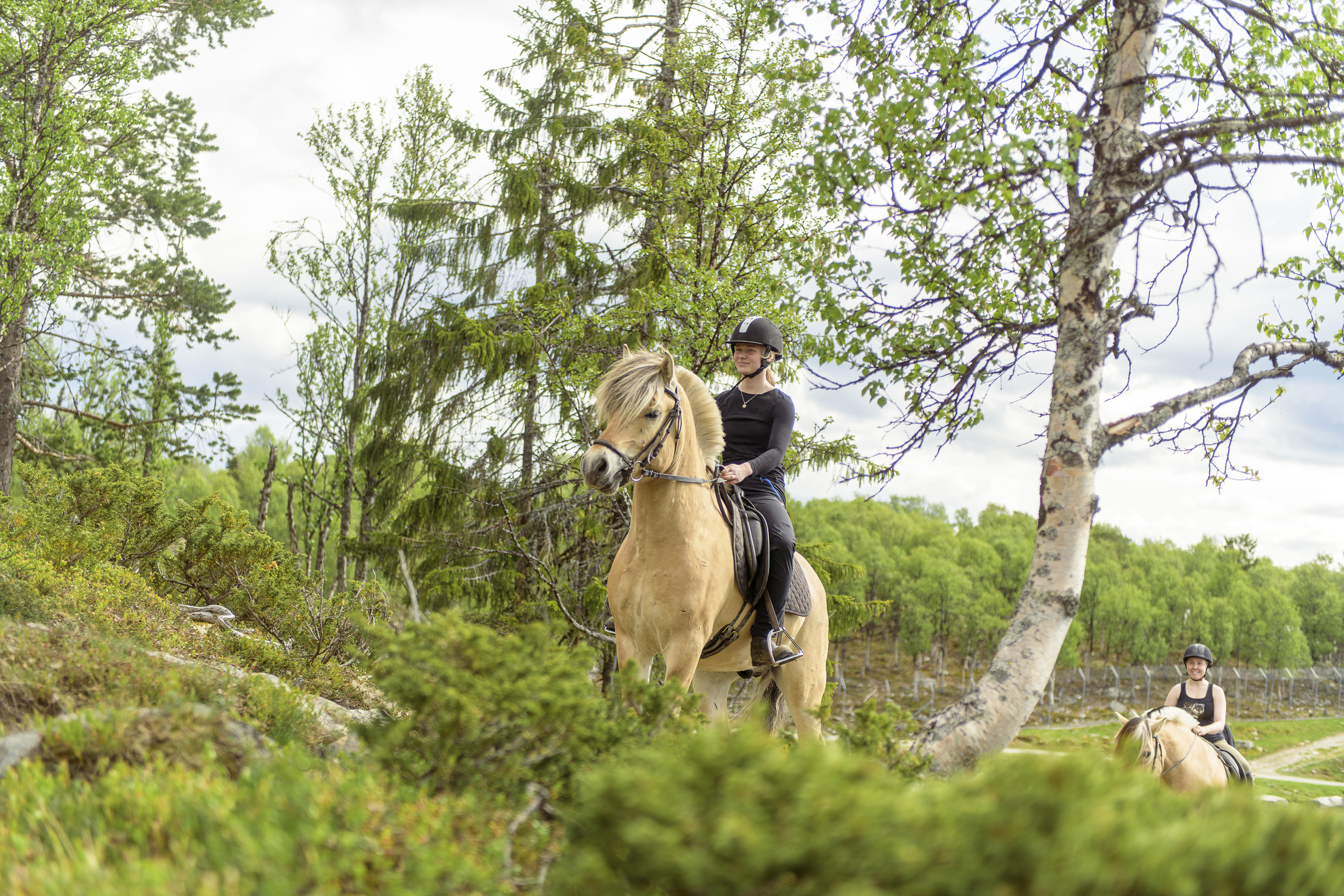 Ridning på Langedrag