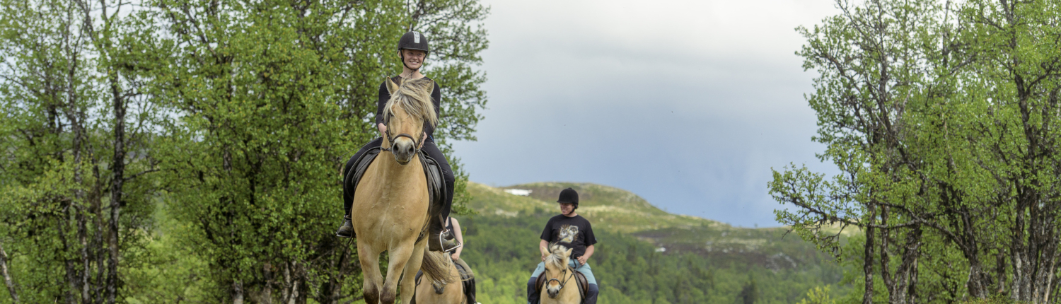 Ridning på Langedrag