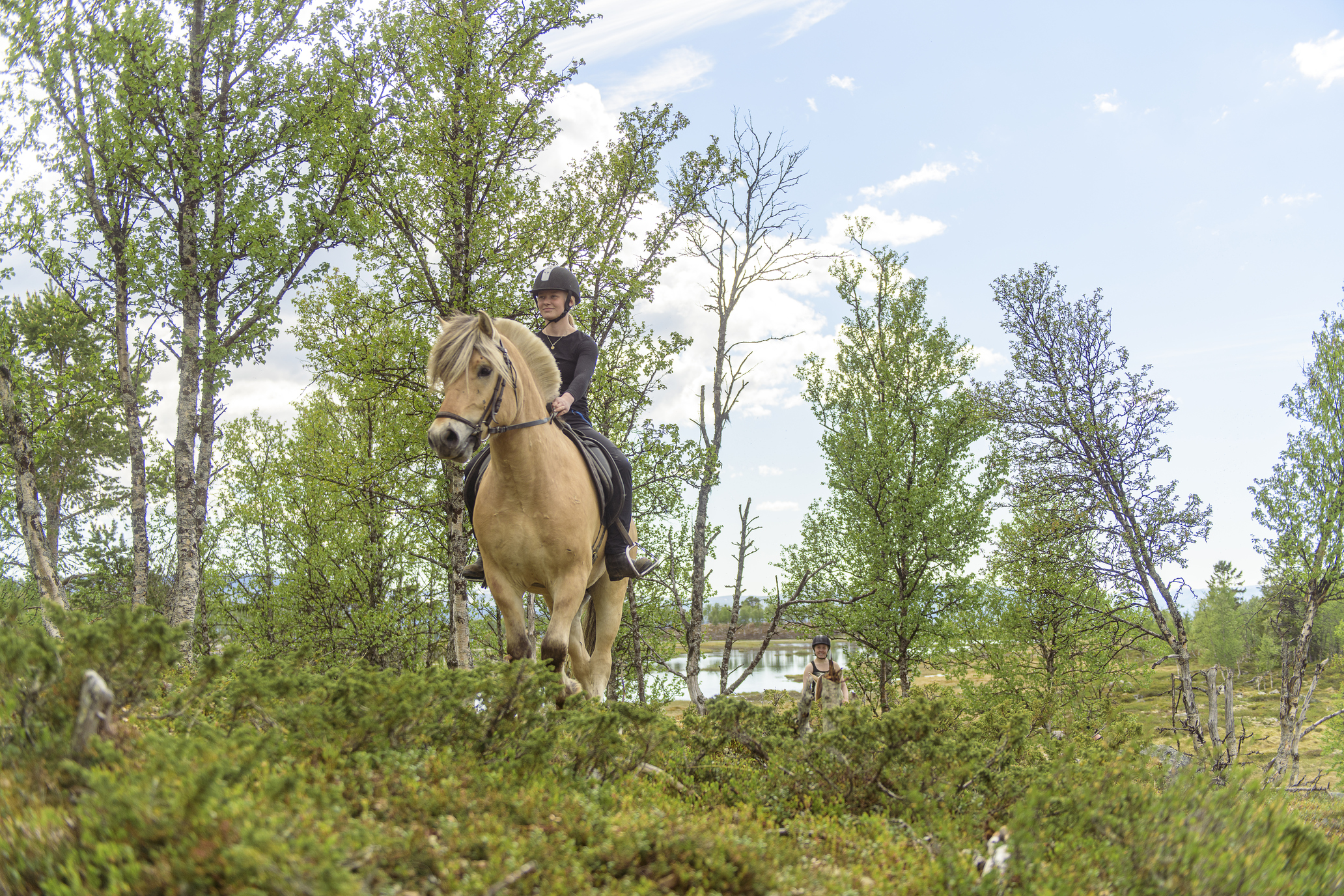 Ridetur på fjellet