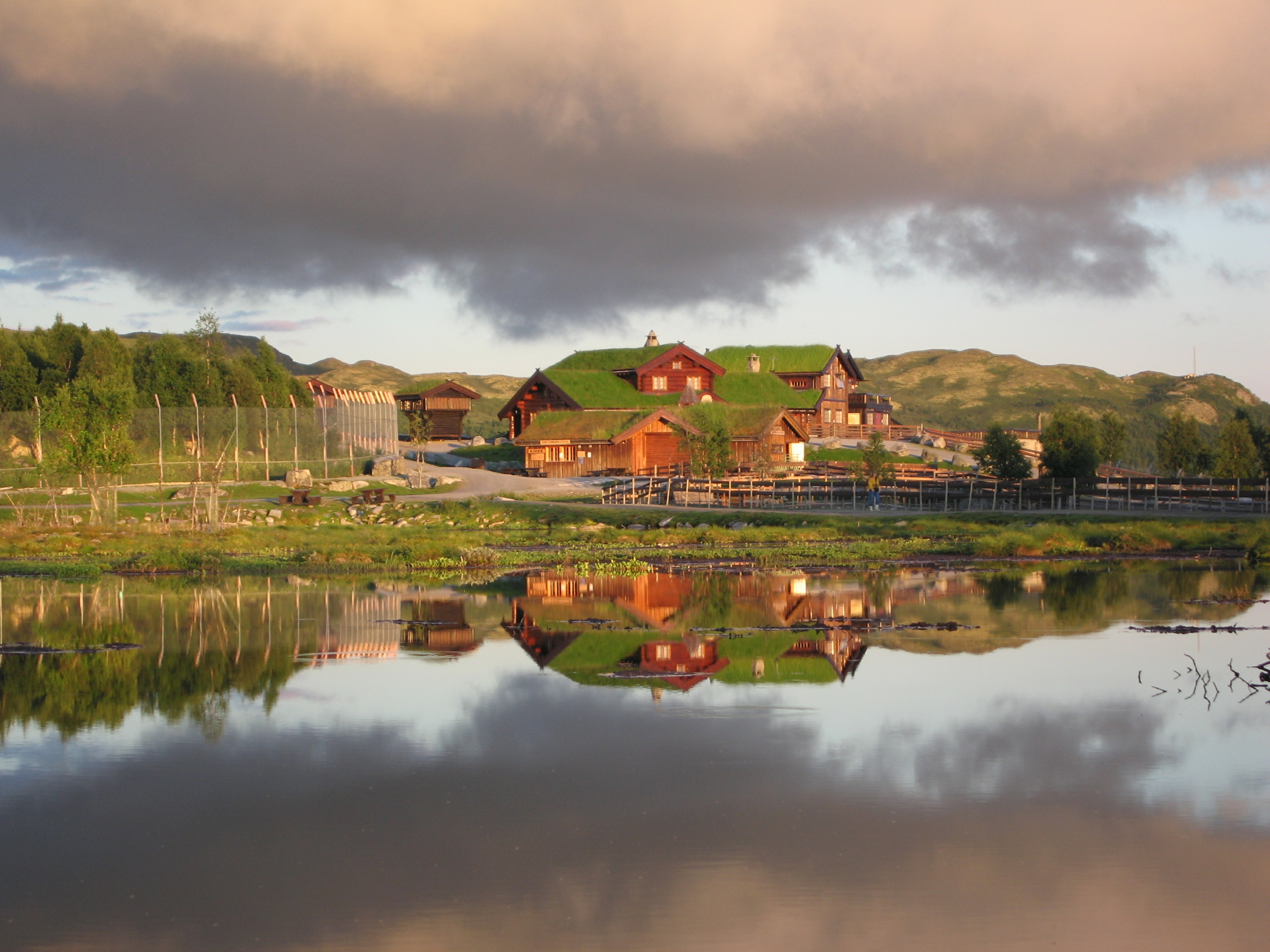 Husene sett fra tjernet, sommer. Foto: Tord Knapstad