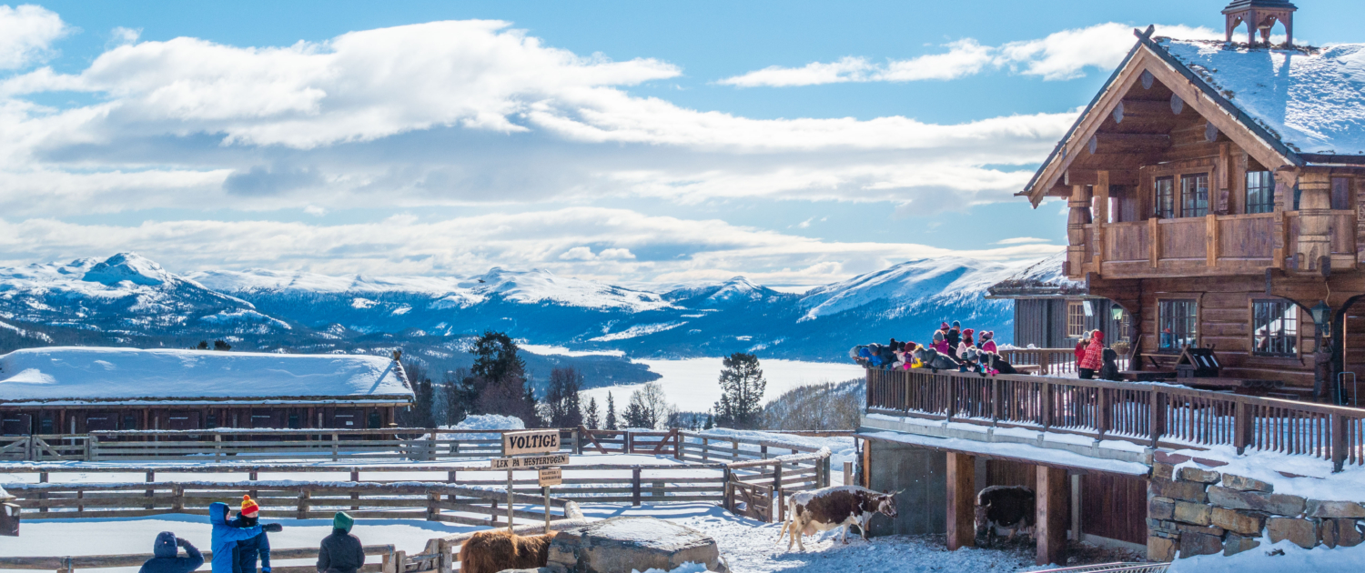 Langedrag vinter. Foto Lars Storheim