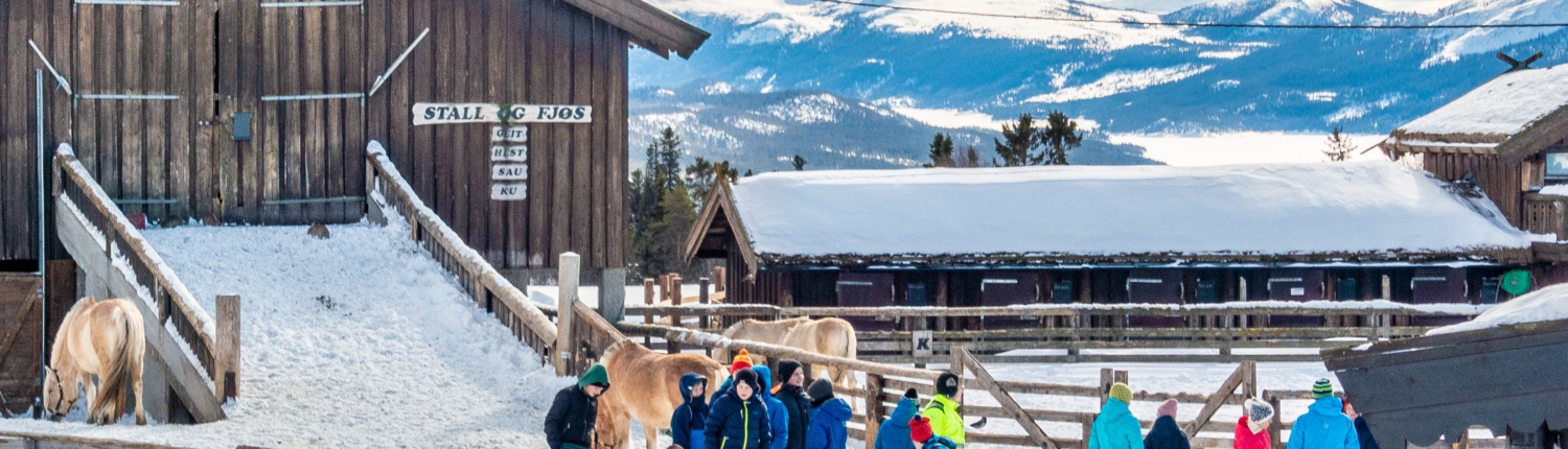 Vinter på Langedrag