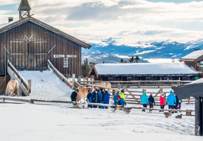 Vinter på Langedrag