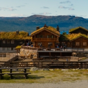 Familieopplevelser på Langedrag Naturpark