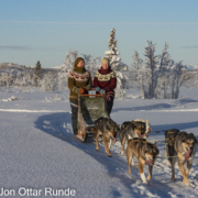 Hundekjøring Hallingdal