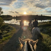 sommerjobb på fjellet