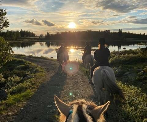 sommerjobb på fjellet