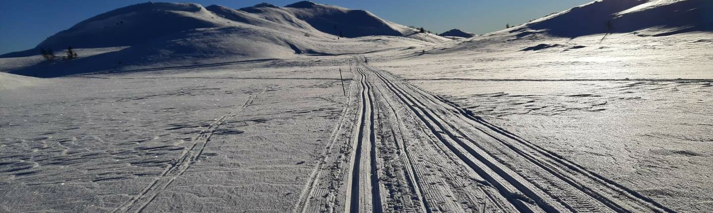 Langrennsløyper mil etter mil ut i fra Langedrag