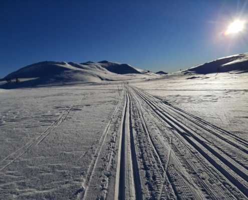 Langrennsløyper mil etter mil ut i fra Langedrag