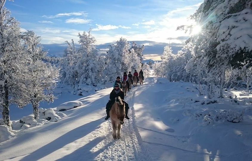 Ridetur i vinter