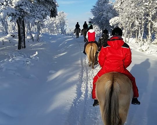 En ridetur i snøkledd skog
