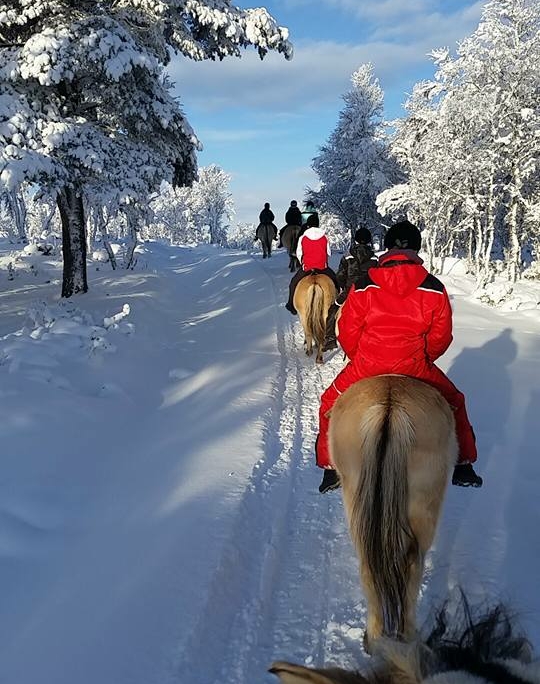 En ridetur i snøkledd skog