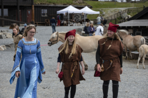 Fjording med utsikt