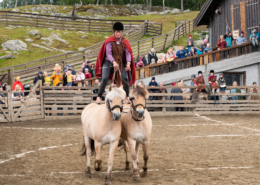 Balanse på hesteryggen