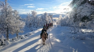 Fjording med utsikt