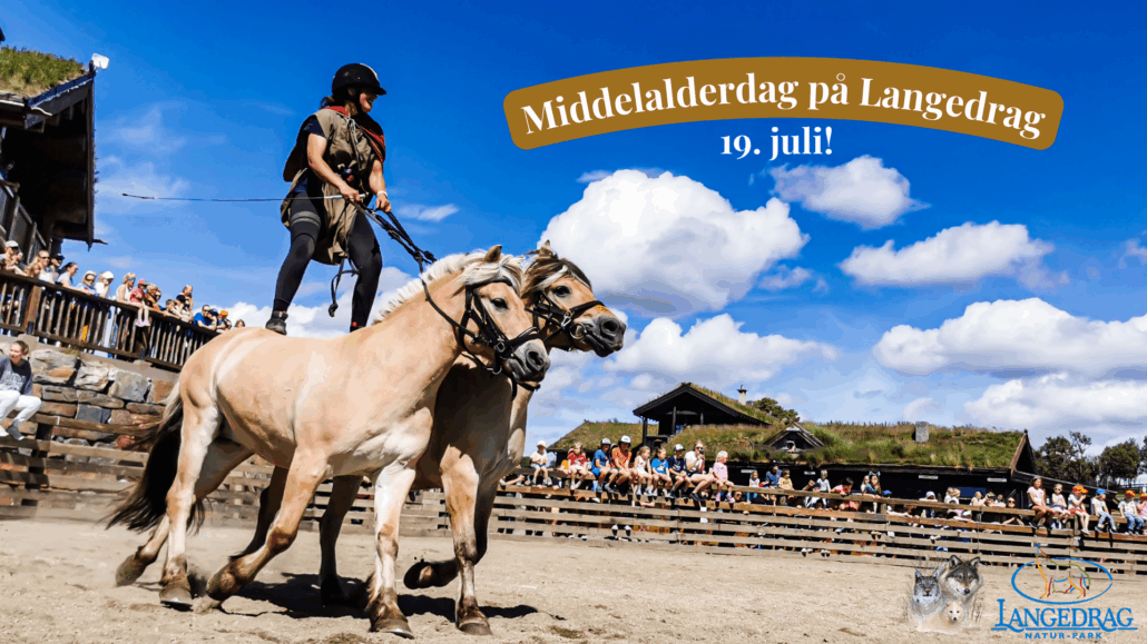 Middelalderdag 2025